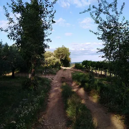 Kwatera prywatna Ca' Roccia *